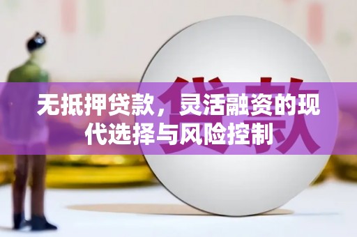 巴里坤无抵押贷款，灵活融资的现代选择与风险控制