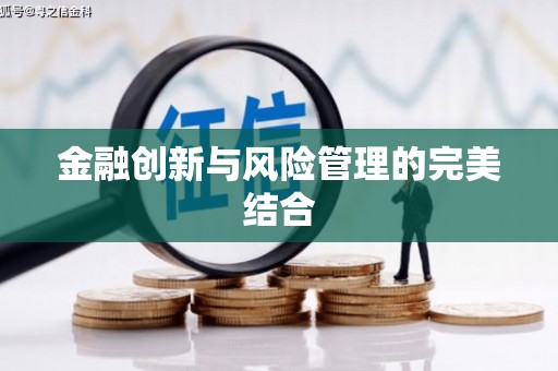 巴里坤金融创新与风险管理的完美结合