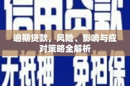 巴里坤逾期贷款，风险、影响与应对策略全解析