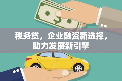 巴里坤税务贷，企业融资新选择，助力发展新引擎