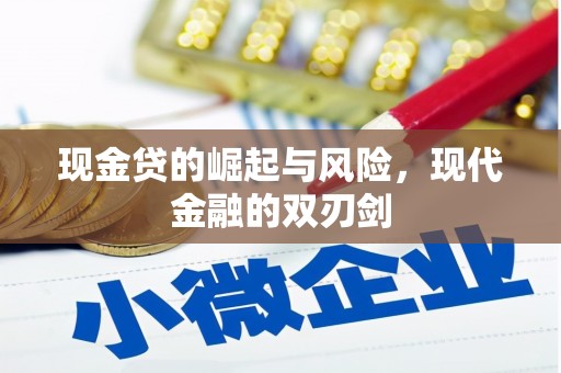 巴里坤现金贷的崛起与风险，现代金融的双刃剑
