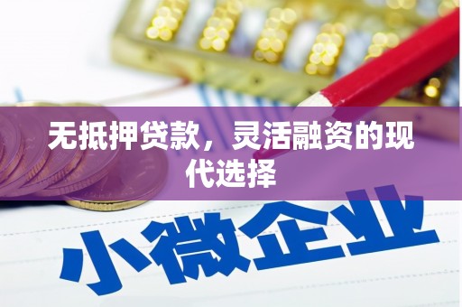 巴里坤无抵押贷款，灵活融资的现代选择