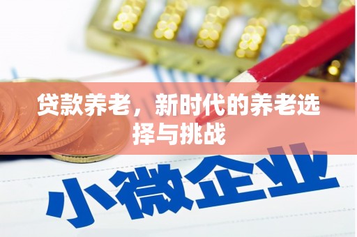 巴里坤贷款养老，新时代的养老选择与挑战
