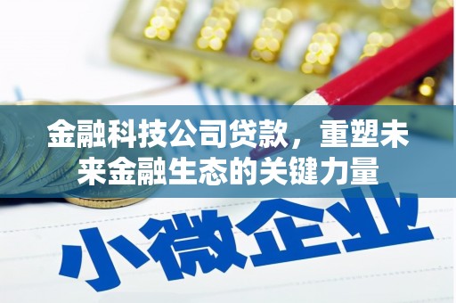 巴里坤金融科技公司贷款，重塑未来金融生态的关键力量