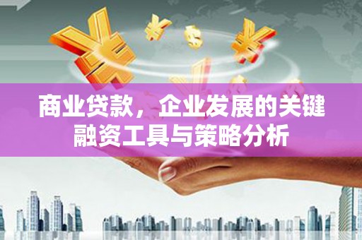 巴里坤商业贷款，企业发展的关键融资工具与策略分析