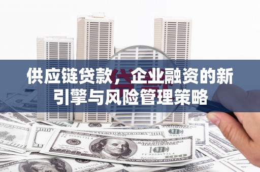 巴里坤供应链贷款，企业融资的新引擎与风险管理策略