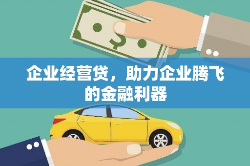 巴里坤企业经营贷，助力企业腾飞的金融利器