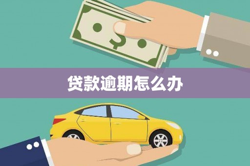 巴里坤贷款逾期怎么办
