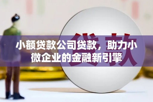 巴里坤小额贷款公司贷款，助力小微企业的金融新引擎