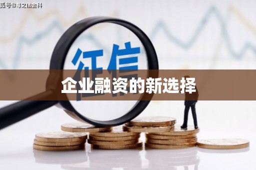 巴里坤企业融资的新选择