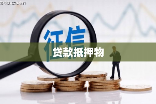 巴里坤贷款抵押物