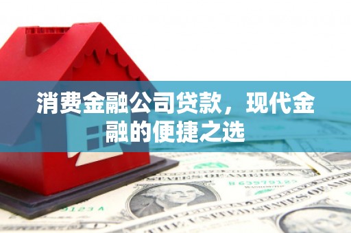巴里坤消费金融公司贷款，现代金融的便捷之选