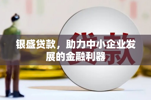 巴里坤银盛贷款，助力中小企业发展的金融利器