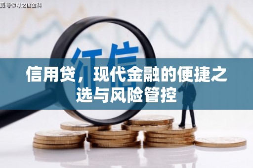 巴里坤信用贷，现代金融的便捷之选与风险管控