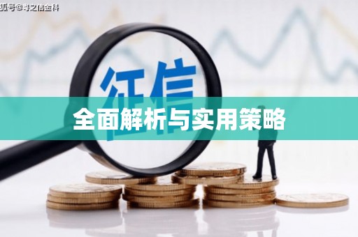巴里坤全面解析与实用策略