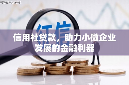 巴里坤信用社贷款，助力小微企业发展的金融利器