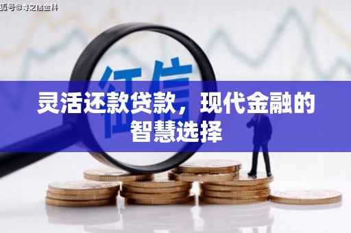 巴里坤灵活还款贷款，现代金融的智慧选择