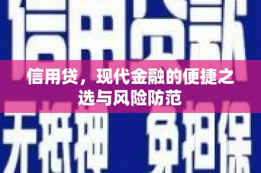 巴里坤信用贷，现代金融的便捷之选与风险防范