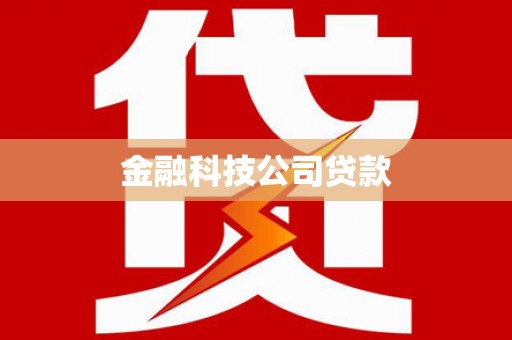 巴里坤金融科技公司贷款