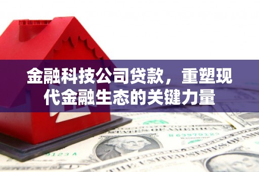 巴里坤金融科技公司贷款，重塑现代金融生态的关键力量