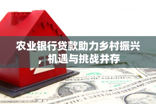 巴里坤农业银行贷款助力乡村振兴，机遇与挑战并存