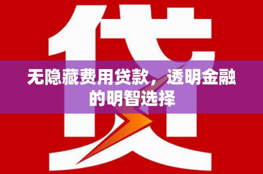 巴里坤无隐藏费用贷款，透明金融的明智选择