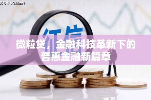 巴里坤微粒贷，金融科技革新下的普惠金融新篇章