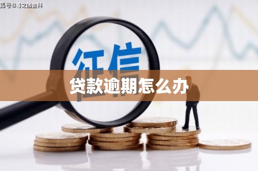 巴里坤贷款逾期怎么办