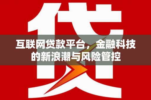 巴里坤互联网贷款平台，金融科技的新浪潮与风险管控