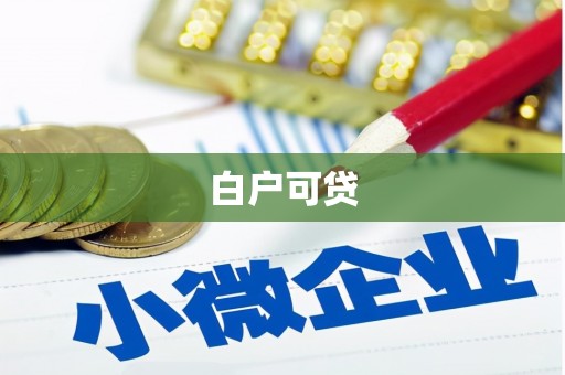 巴里坤白户可贷