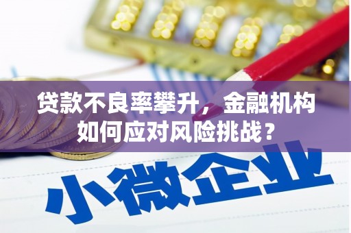 巴里坤贷款不良率攀升，金融机构如何应对风险挑战？