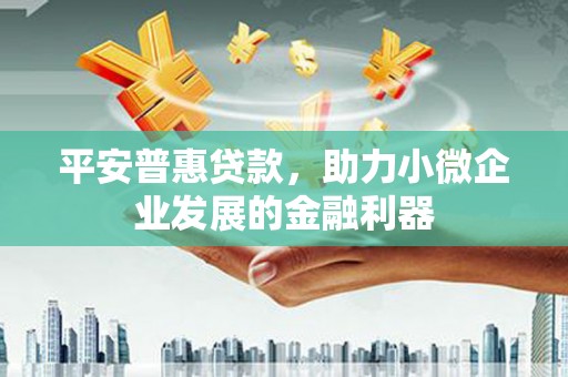 巴里坤平安普惠贷款，助力小微企业发展的金融利器