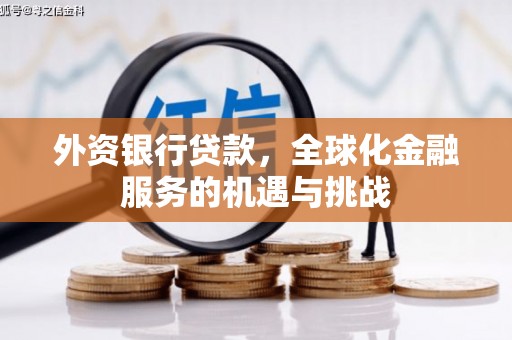 巴里坤外资银行贷款，全球化金融服务的机遇与挑战