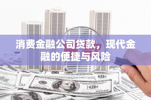 巴里坤消费金融公司贷款，现代金融的便捷与风险