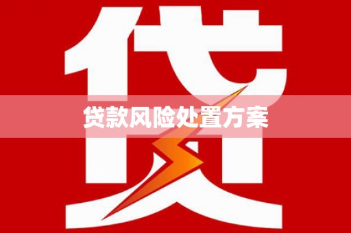 巴里坤贷款风险处置方案