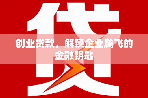 巴里坤创业贷款，解锁企业腾飞的金融钥匙