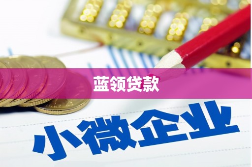巴里坤蓝领贷款