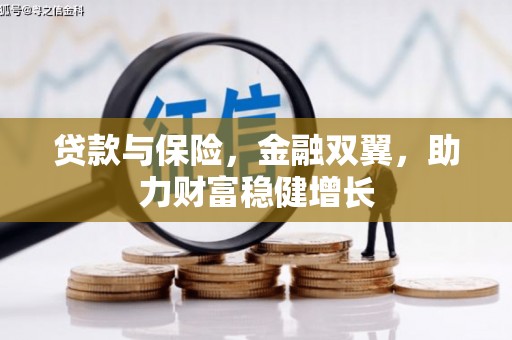 巴里坤贷款与保险，金融双翼，助力财富稳健增长