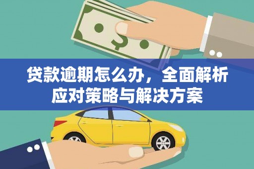 巴里坤贷款逾期怎么办，全面解析应对策略与解决方案