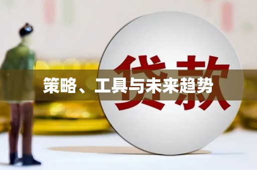 巴里坤策略、工具与未来趋势