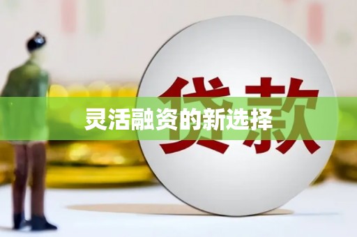 巴里坤灵活融资的新选择