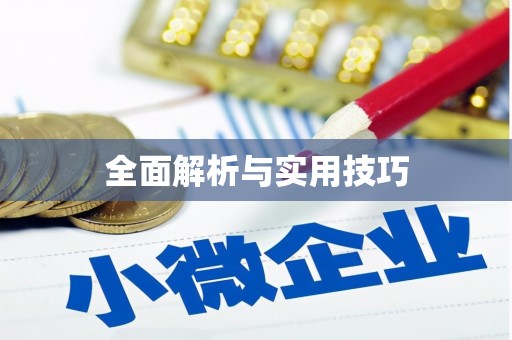 巴里坤全面解析与实用技巧