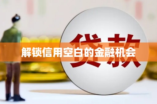 巴里坤解锁信用空白的金融机会