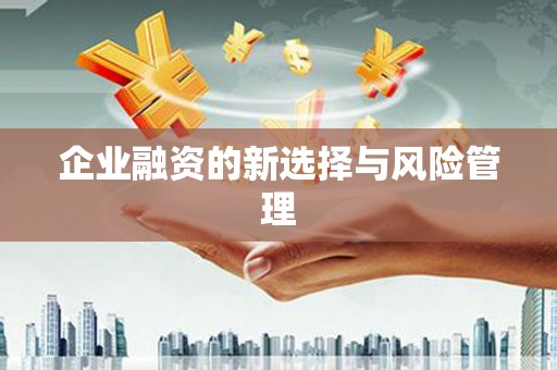 巴里坤企业融资的新选择与风险管理