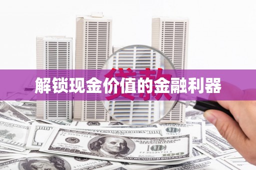巴里坤解锁现金价值的金融利器