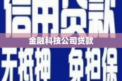 巴里坤金融科技公司贷款