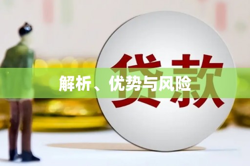 巴里坤解析、优势与风险