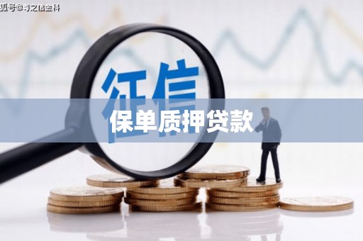 巴里坤保单质押贷款