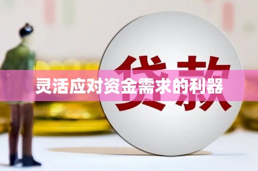 巴里坤灵活应对资金需求的利器