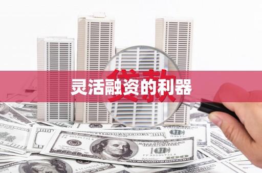 巴里坤灵活融资的利器